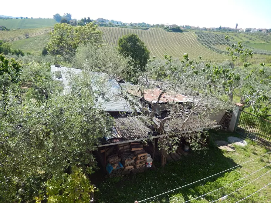 Immagine 22 di Rustico / casale in vendita  a Ancarano