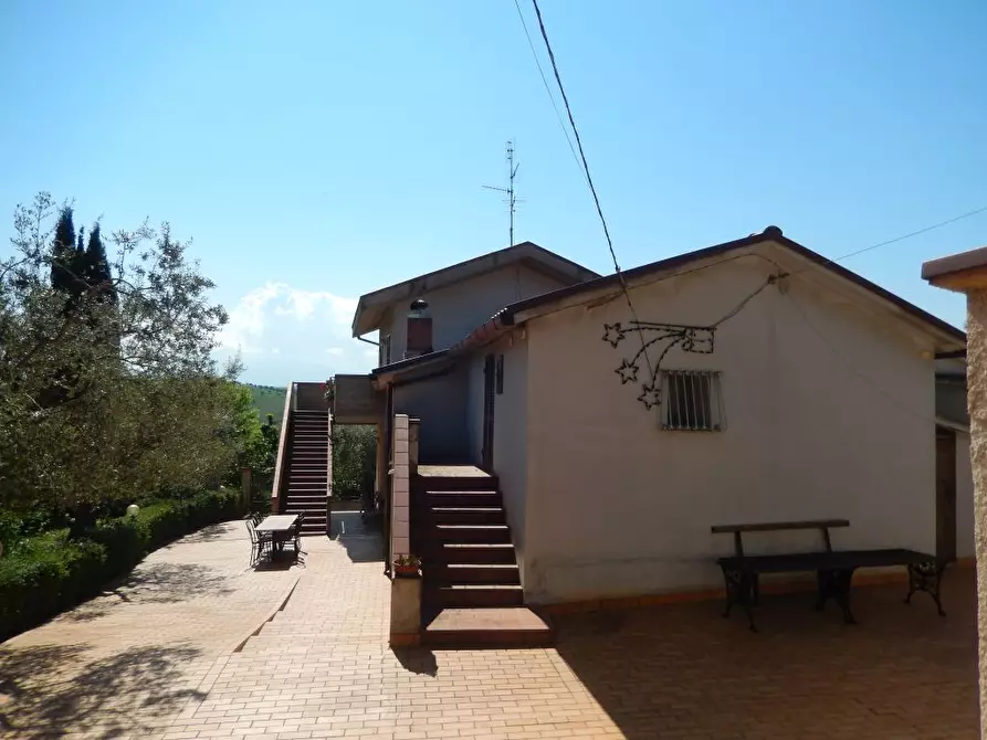 Immagine 31 di Rustico / casale in vendita  a Ancarano