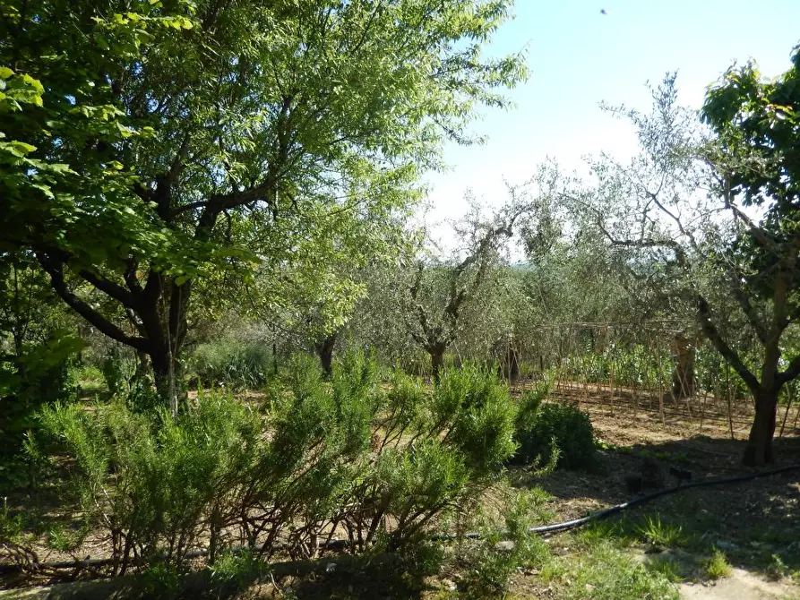 Immagine 32 di Rustico / casale in vendita  a Ancarano