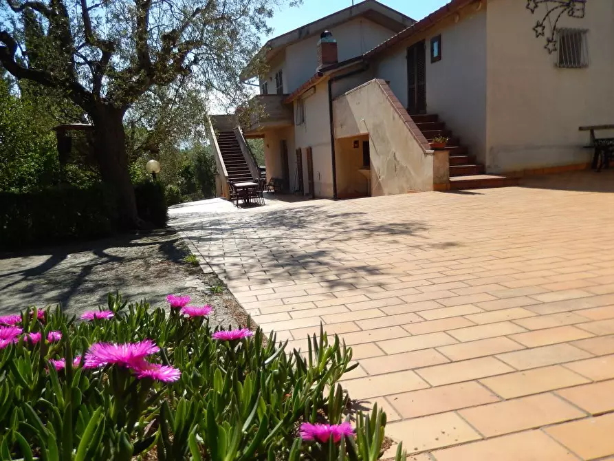 Immagine 36 di Rustico / casale in vendita  a Ancarano