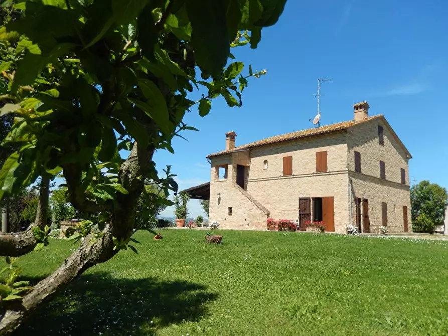 Immagine 4 di Rustico / casale in vendita  in Montelupone a Appignano