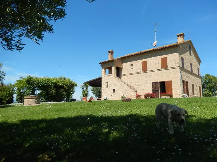 Immagine 2 di Rustico / casale in vendita  in Montelupone a Appignano