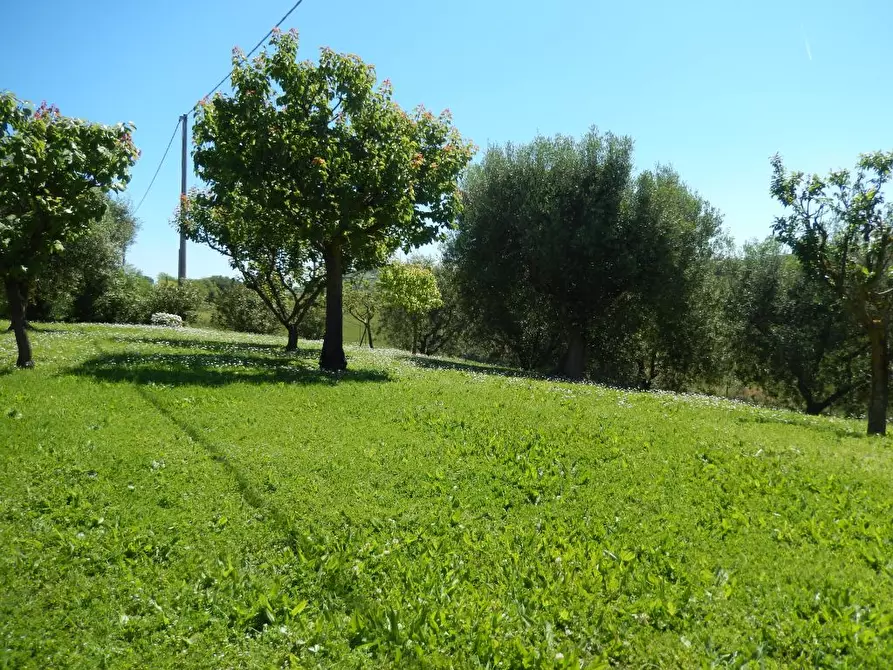 Immagine 12 di Rustico / casale in vendita  in Montelupone a Appignano