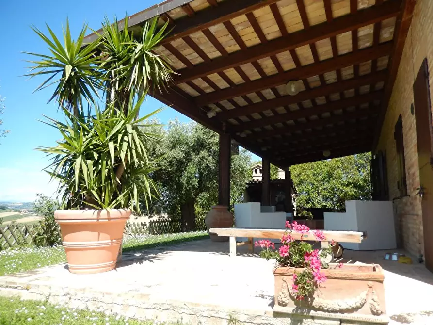 Immagine 40 di Rustico / casale in vendita  in Montelupone a Appignano