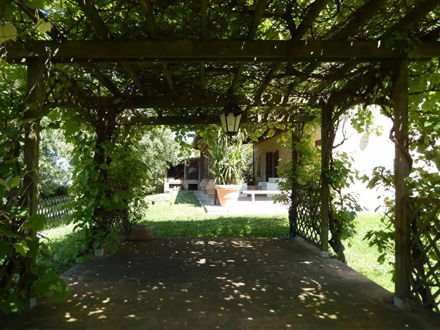 Immagine 41 di Rustico / casale in vendita  in Montelupone a Appignano