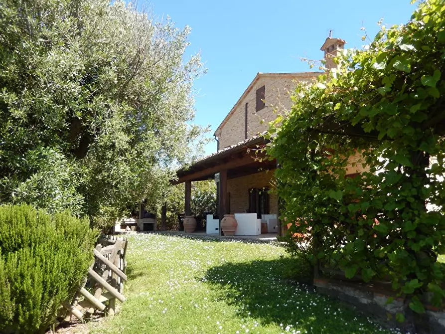 Immagine 42 di Rustico / casale in vendita  in Montelupone a Appignano
