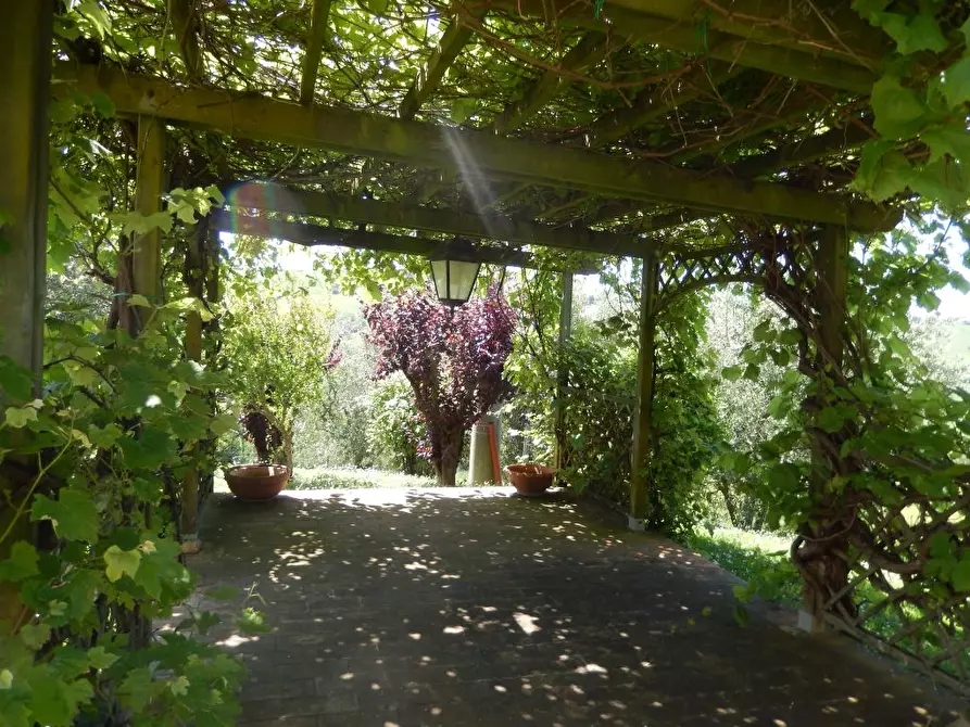 Immagine 43 di Rustico / casale in vendita  in Montelupone a Appignano