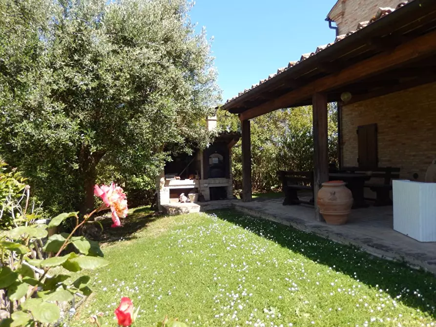 Immagine 44 di Rustico / casale in vendita  in Montelupone a Appignano