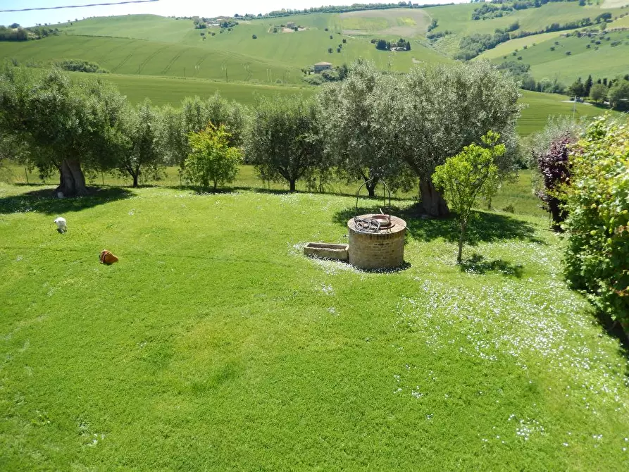 Immagine 45 di Rustico / casale in vendita  in Montelupone a Appignano