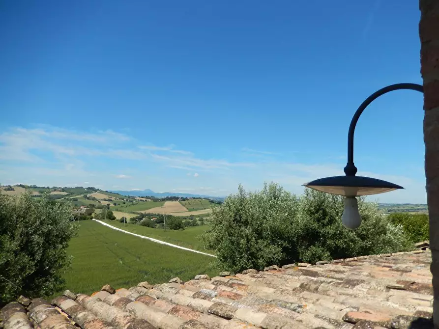 Immagine 38 di Rustico / casale in vendita  in Montelupone a Appignano