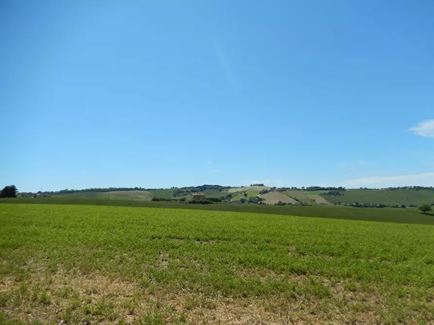 Immagine 50 di Rustico / casale in vendita  in Montelupone a Appignano