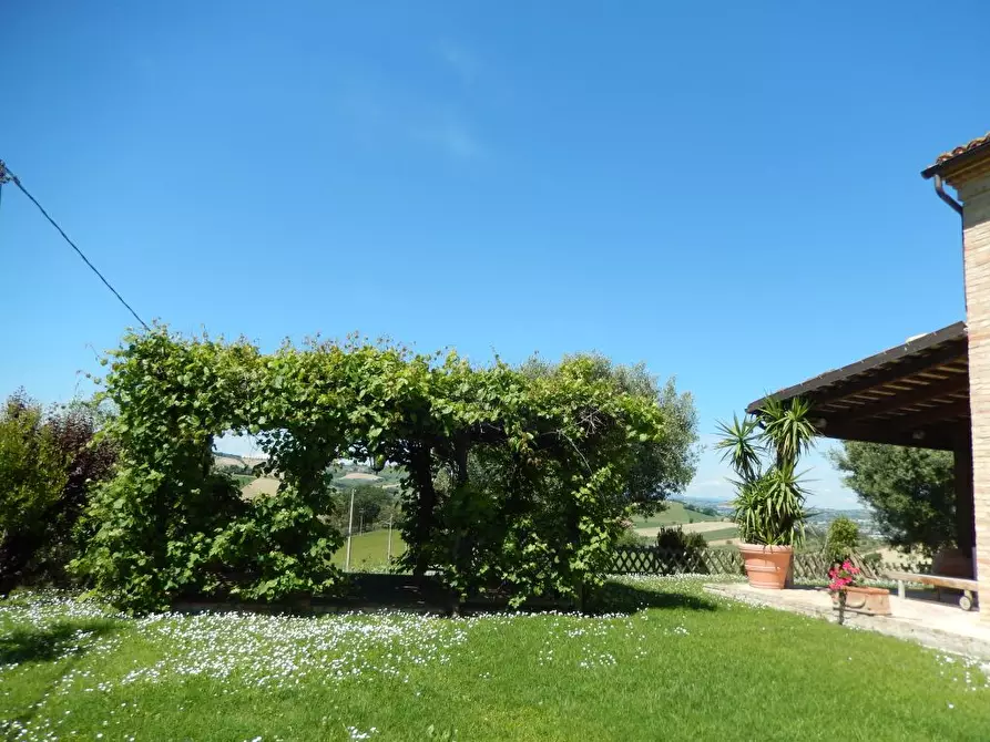 Immagine 46 di Rustico / casale in vendita  in Montelupone a Appignano