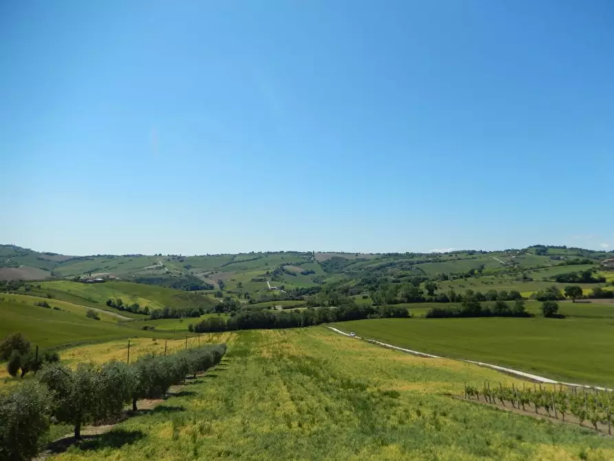 Immagine 49 di Rustico / casale in vendita  in Montelupone a Appignano