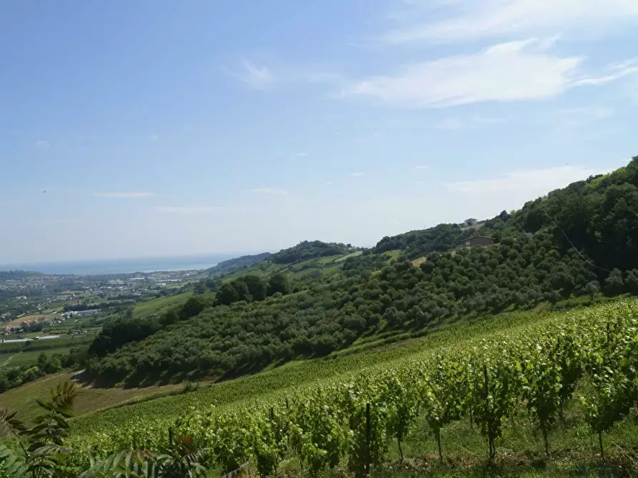 Immagine 21 di Rustico / casale in vendita  in Aso a Montefiore Dell'aso