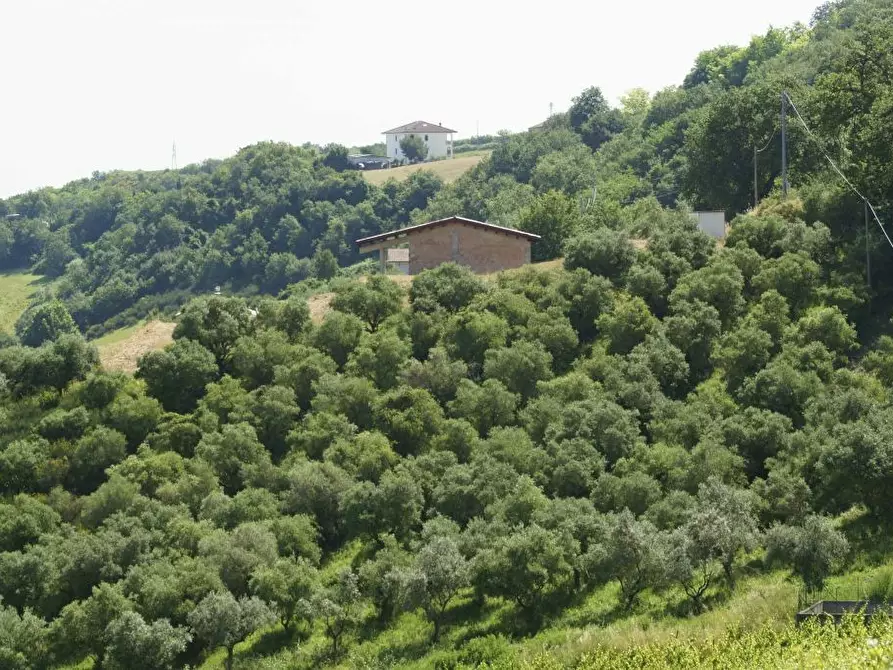 Immagine 24 di Rustico / casale in vendita  in Aso a Montefiore Dell'aso