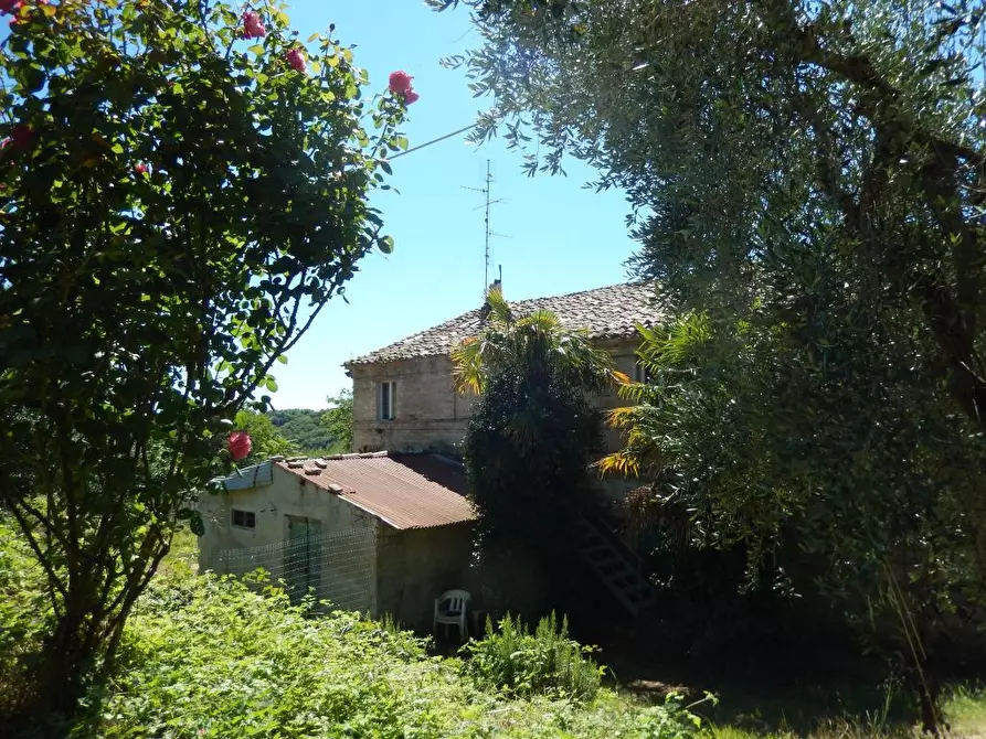 Immagine 6 di Rustico / casale in vendita  a Altidona