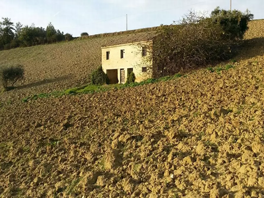 Immagine 3 di Rustico / casale in vendita  a Montelparo