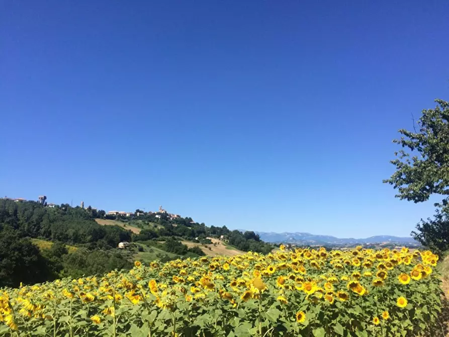 Immagine 1 di Rustico / casale in vendita  a Montelparo