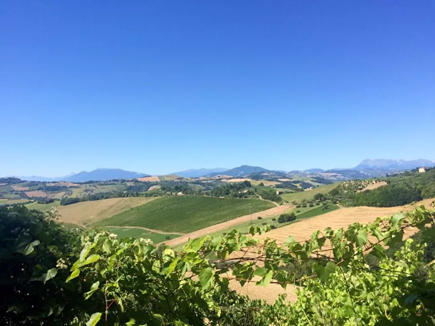 Immagine 5 di Rustico / casale in vendita  a Montelparo