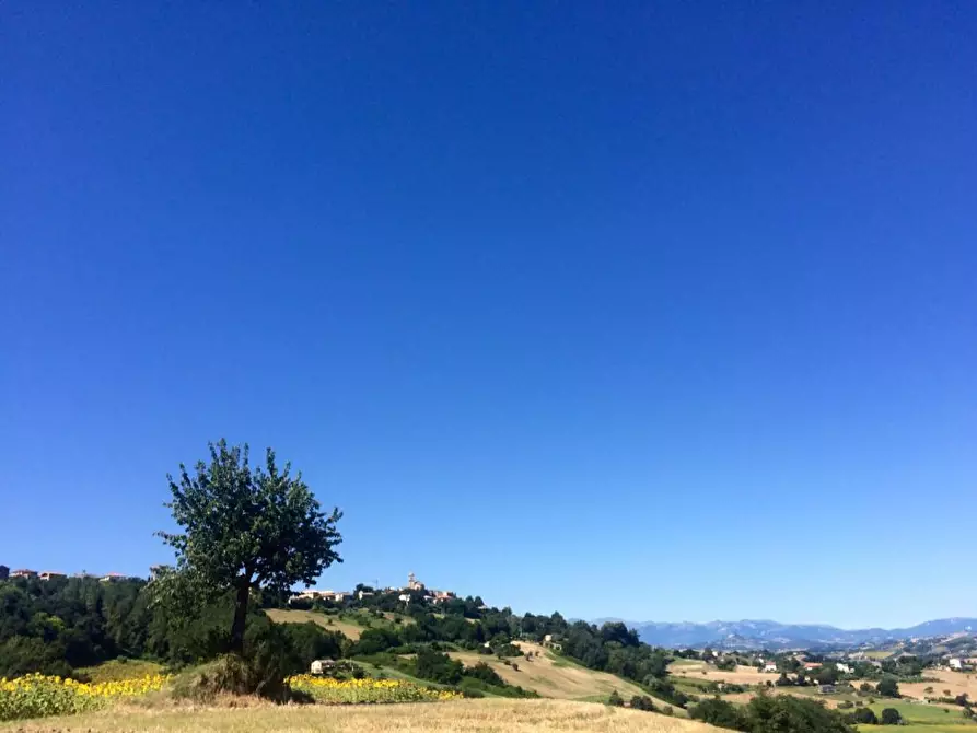 Immagine 6 di Rustico / casale in vendita  a Montelparo