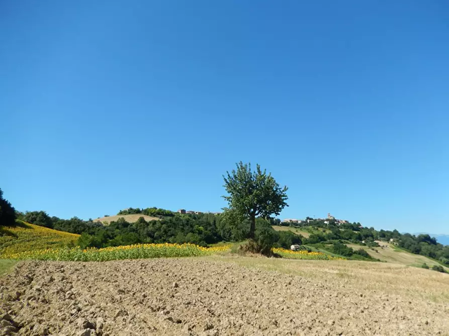 Immagine 8 di Rustico / casale in vendita  a Montelparo