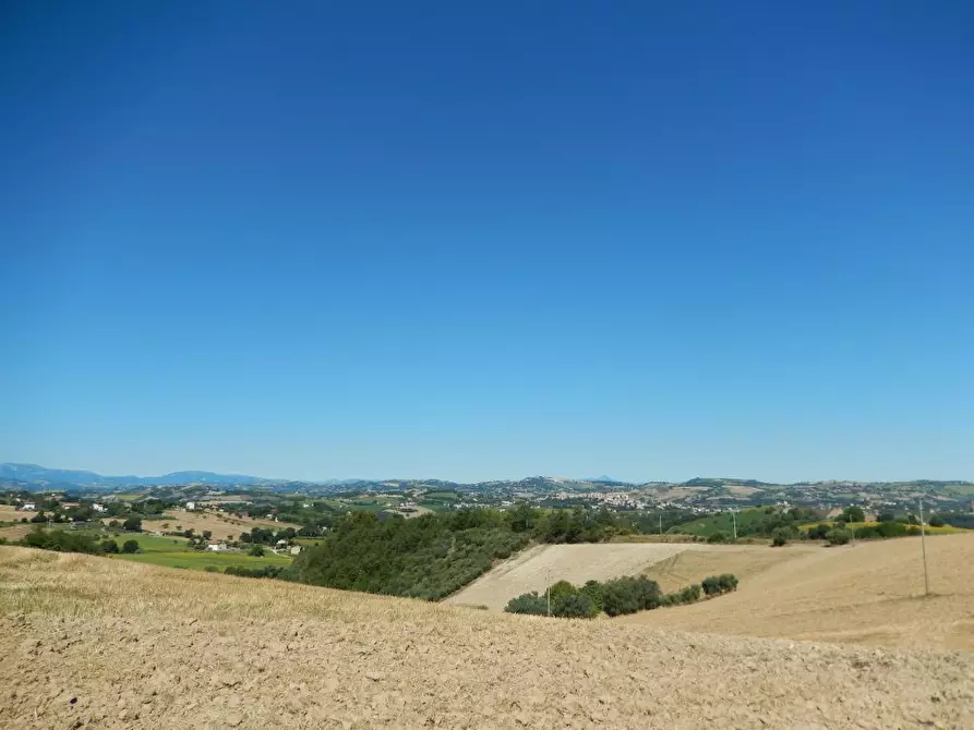 Immagine 9 di Rustico / casale in vendita  a Montelparo