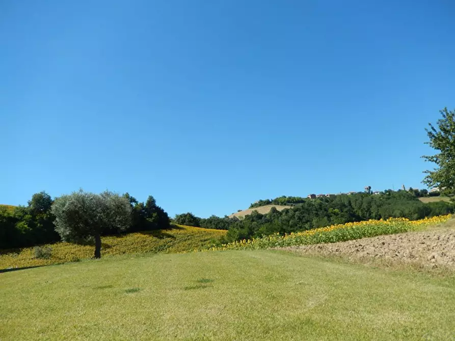 Immagine 10 di Rustico / casale in vendita  a Montelparo