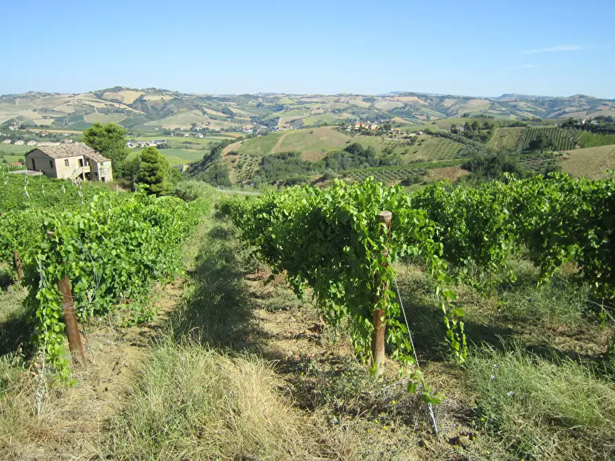 Immagine 1 di Rustico / casale in vendita  in Borgo Miriam a Offida