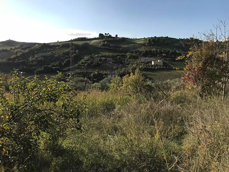 Immagine 2 di Terreno agricolo in vendita  in Zona Collinare, ragnola a San Benedetto Del Tronto