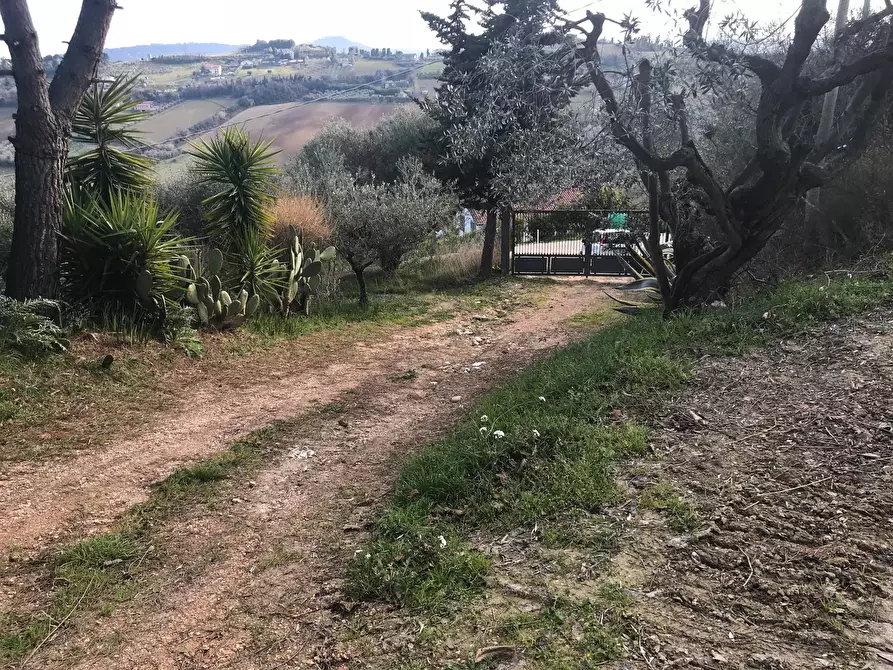 Immagine 26 di Rustico / casale in vendita  a San Benedetto Del Tronto