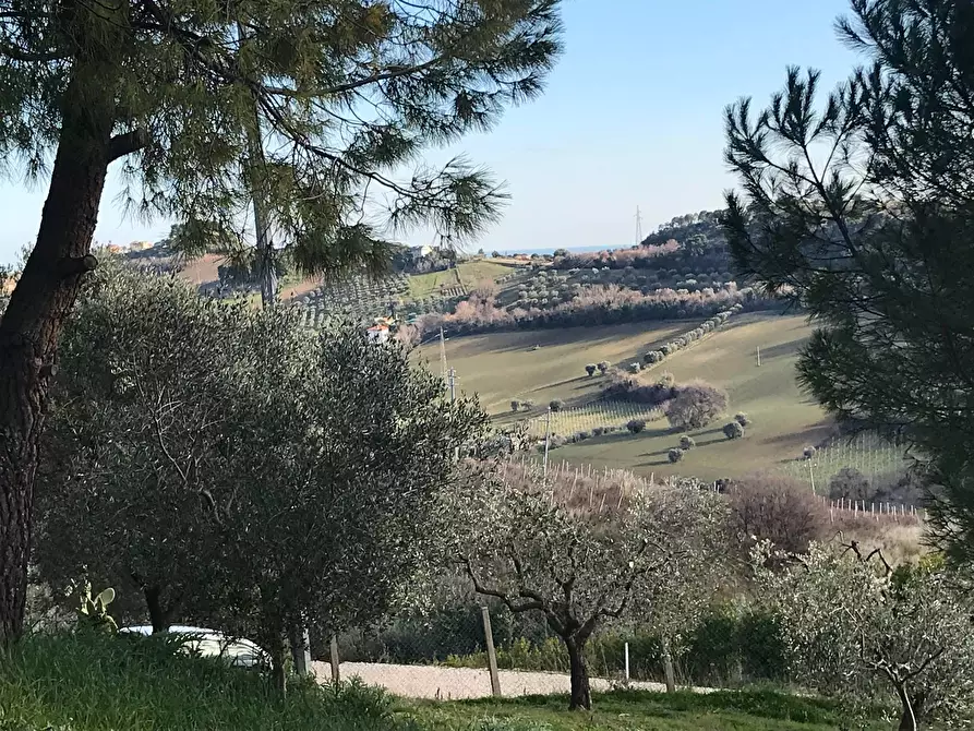 Immagine 27 di Rustico / casale in vendita  a San Benedetto Del Tronto