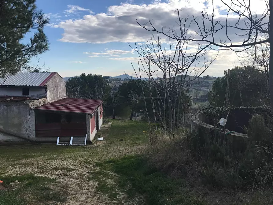 Immagine 28 di Rustico / casale in vendita  a San Benedetto Del Tronto