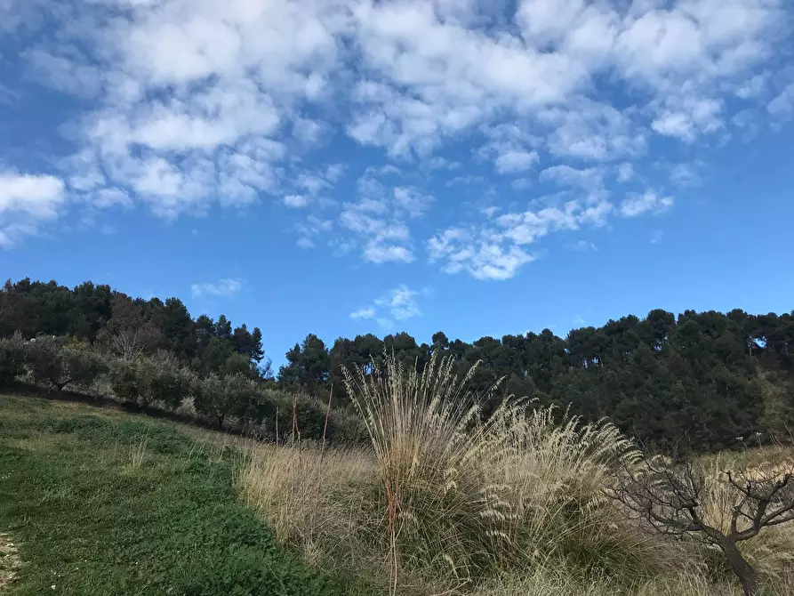 Immagine 29 di Rustico / casale in vendita  a San Benedetto Del Tronto