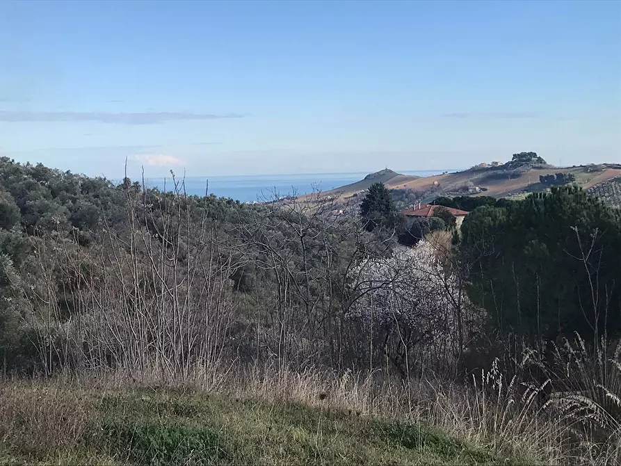 Immagine 4 di Rustico / casale in vendita  a San Benedetto Del Tronto