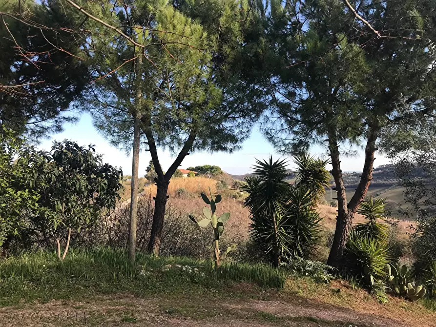 Immagine 30 di Rustico / casale in vendita  a San Benedetto Del Tronto