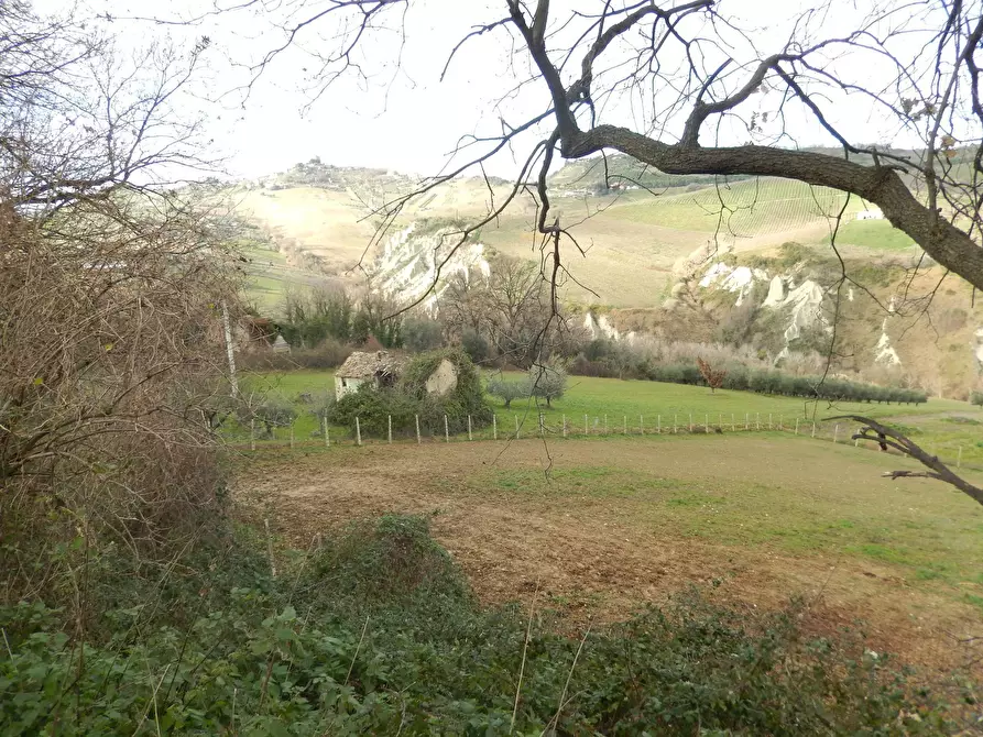 Immagine 6 di Rustico / casale in vendita  in Contrada Fonte Vecchia a Monteprandone
