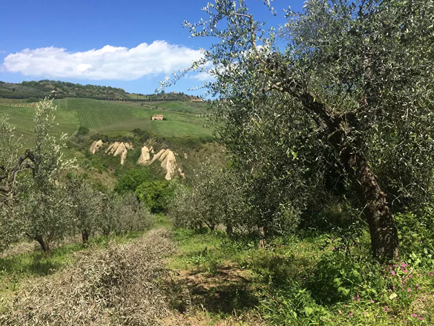 Immagine 7 di Rustico / casale in vendita  in Contrada Fonte Vecchia a Monteprandone