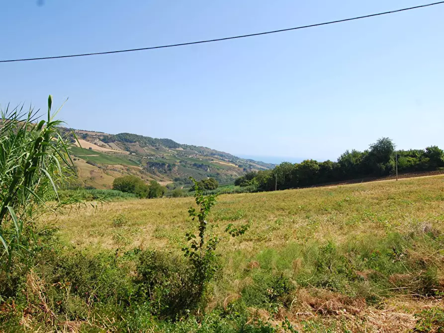 Immagine 8 di Rustico / casale in vendita  in Contrada Fonte Vecchia a Monteprandone