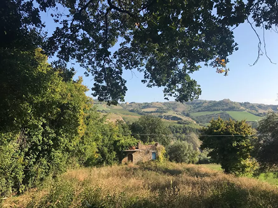 Immagine 15 di Rustico / casale in vendita  in Monteprandone, contrada Fonte Vecchia a Monteprandone