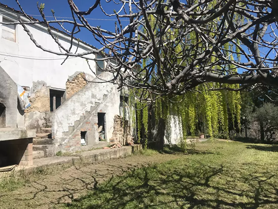 Immagine 3 di Rustico / casale in vendita  a San Benedetto Del Tronto