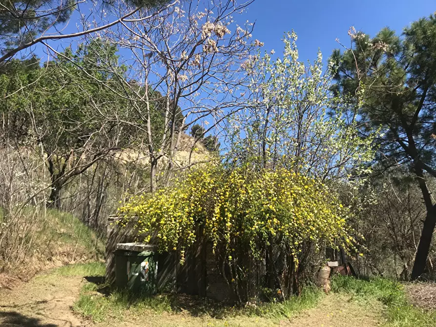 Immagine 36 di Rustico / casale in vendita  a San Benedetto Del Tronto