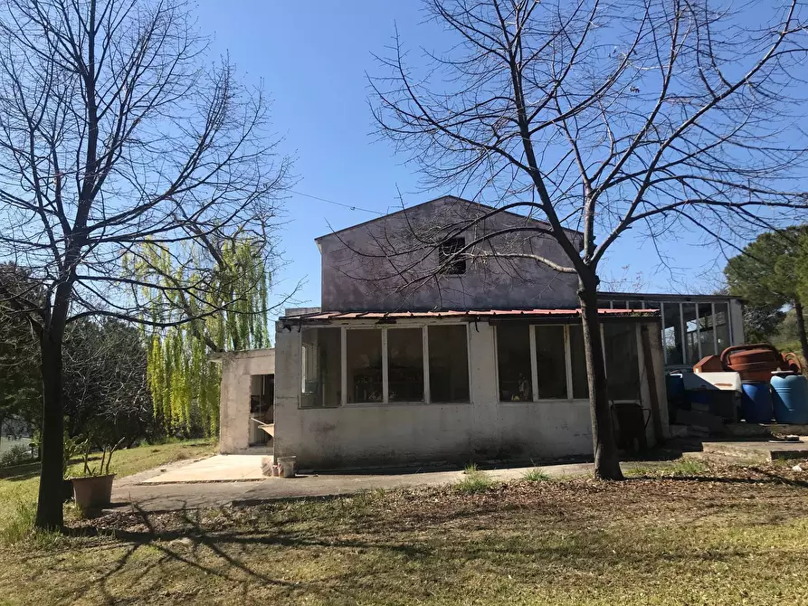 Immagine 5 di Rustico / casale in vendita  a San Benedetto Del Tronto