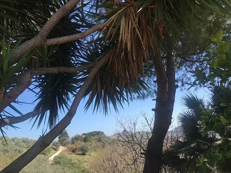 Immagine 38 di Rustico / casale in vendita  a San Benedetto Del Tronto