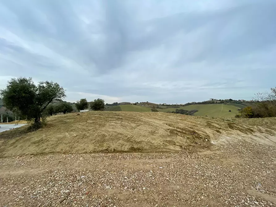 Immagine 7 di Rustico / casale in vendita  a Cossignano