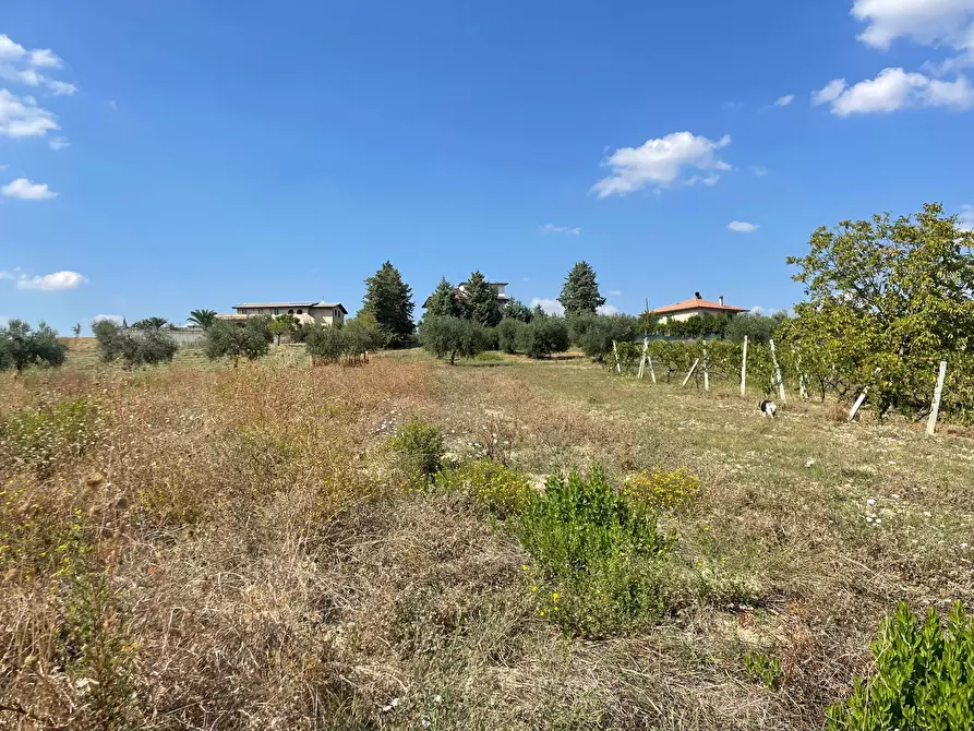 Immagine 19 di Rustico / casale in vendita  in contrada Lava a Offida