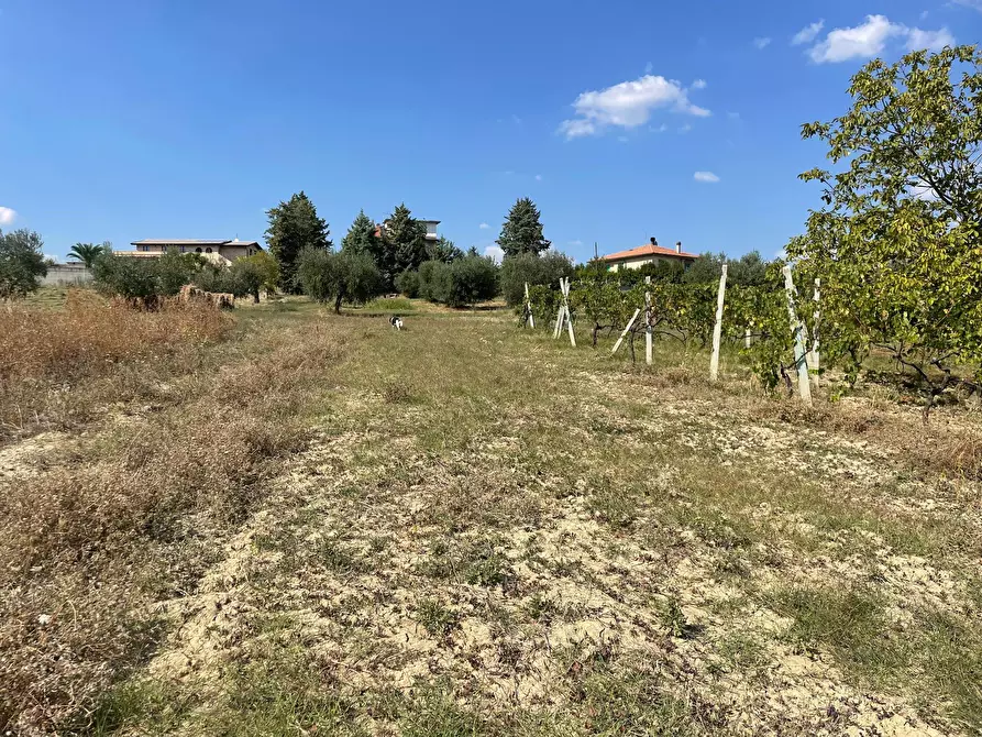 Immagine 20 di Rustico / casale in vendita  in contrada Lava a Offida