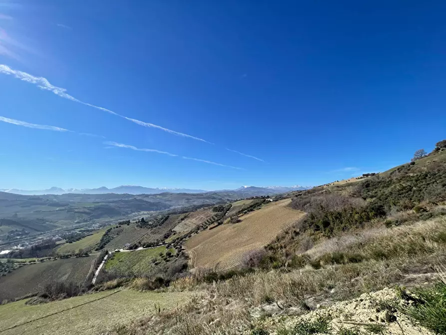 Immagine 13 di Rustico / casale in vendita  in Contrada Penne a Ripatransone