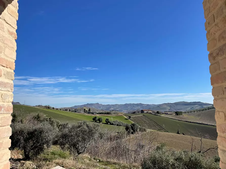 Immagine 16 di Rustico / casale in vendita  a Cossignano