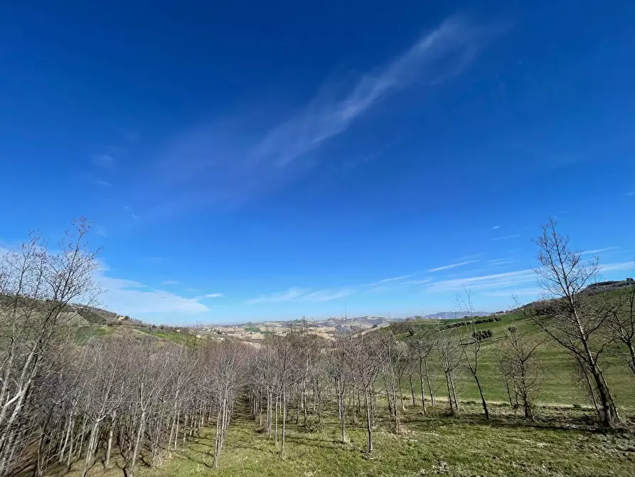 Immagine 10 di Rustico / casale in vendita  a Castignano