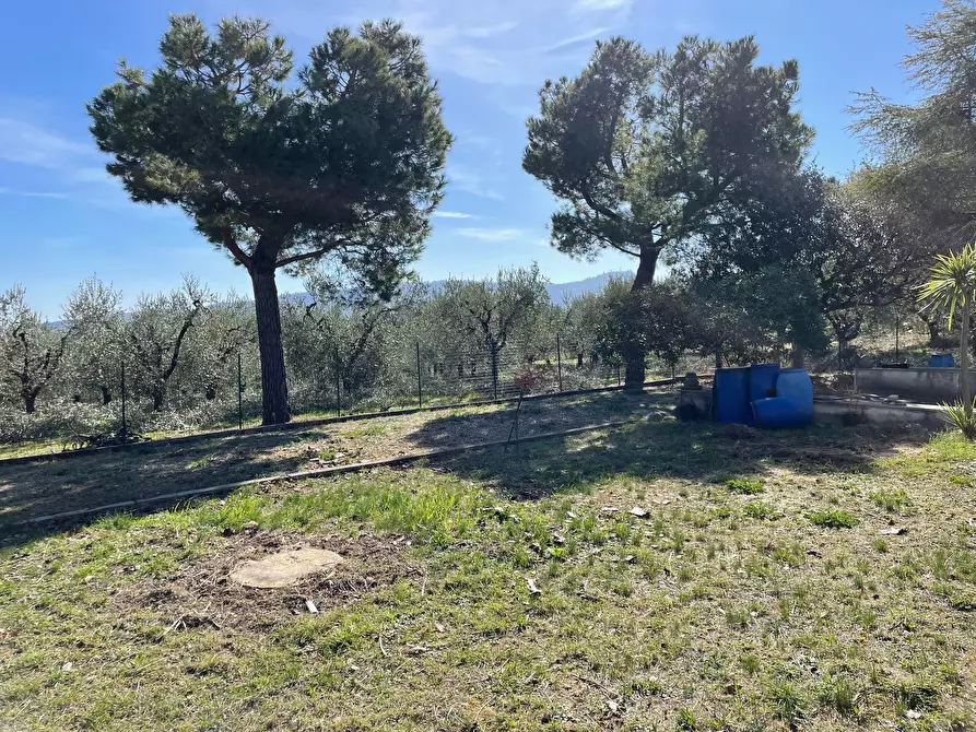 Immagine 30 di Villa in vendita  in Contrada San Donato a Monteprandone